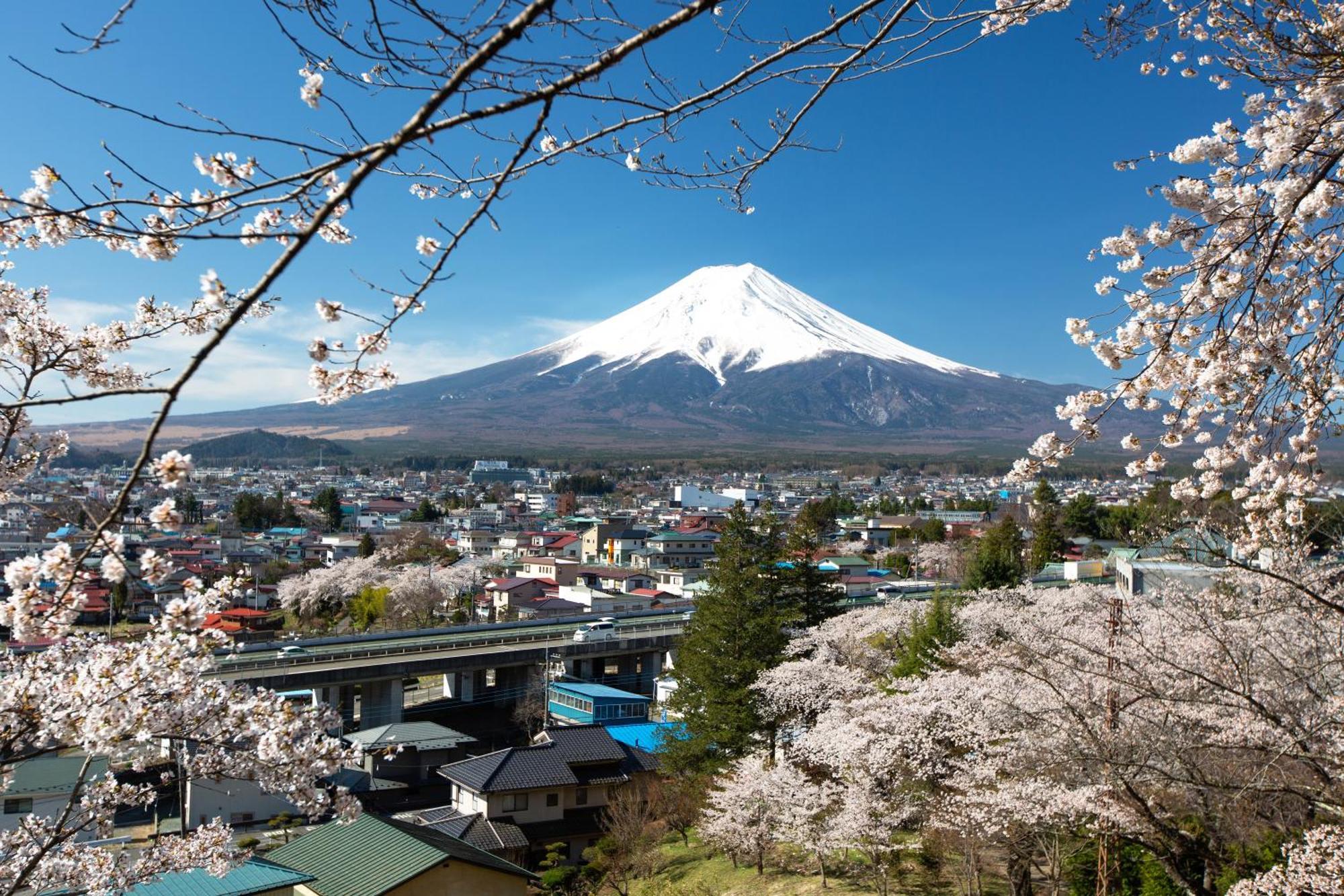 Sorapia Villa Mt.Fuji Front ฟูจิคาวากุจิโกะ ภายนอก รูปภาพ